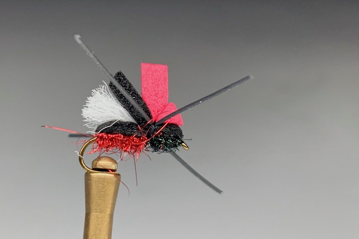 FAB 4 BEETLE (RED RING0)