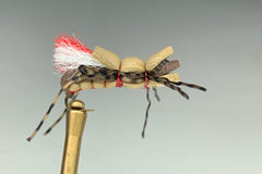TAN ALBERTO GORDO (RED THREAD)