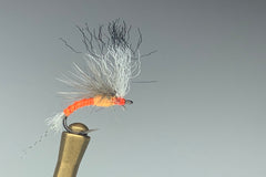 FILM STAR (SULPHUR ORANGE)