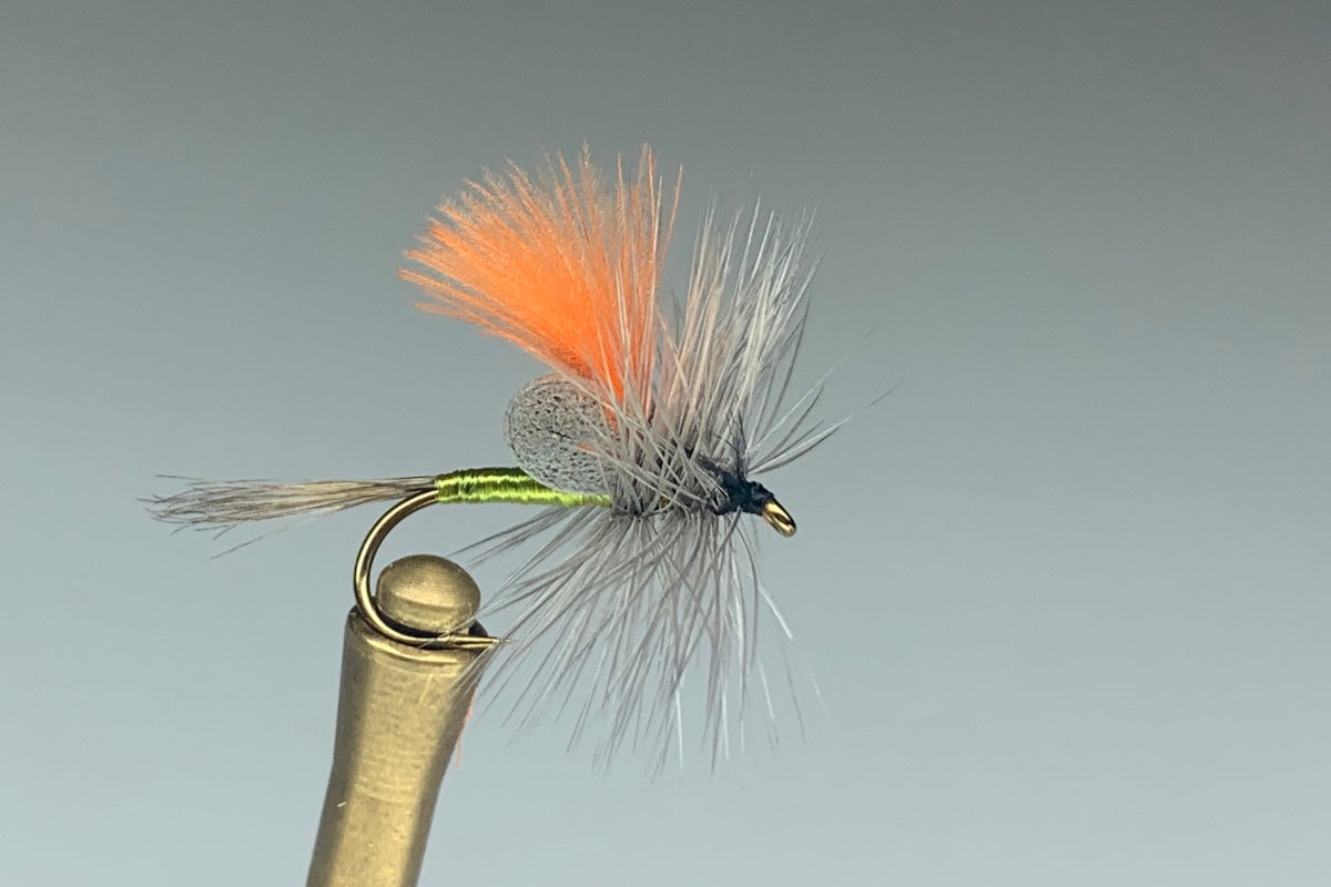 FOAM THORAX DUN (OLIVE/GREEN)