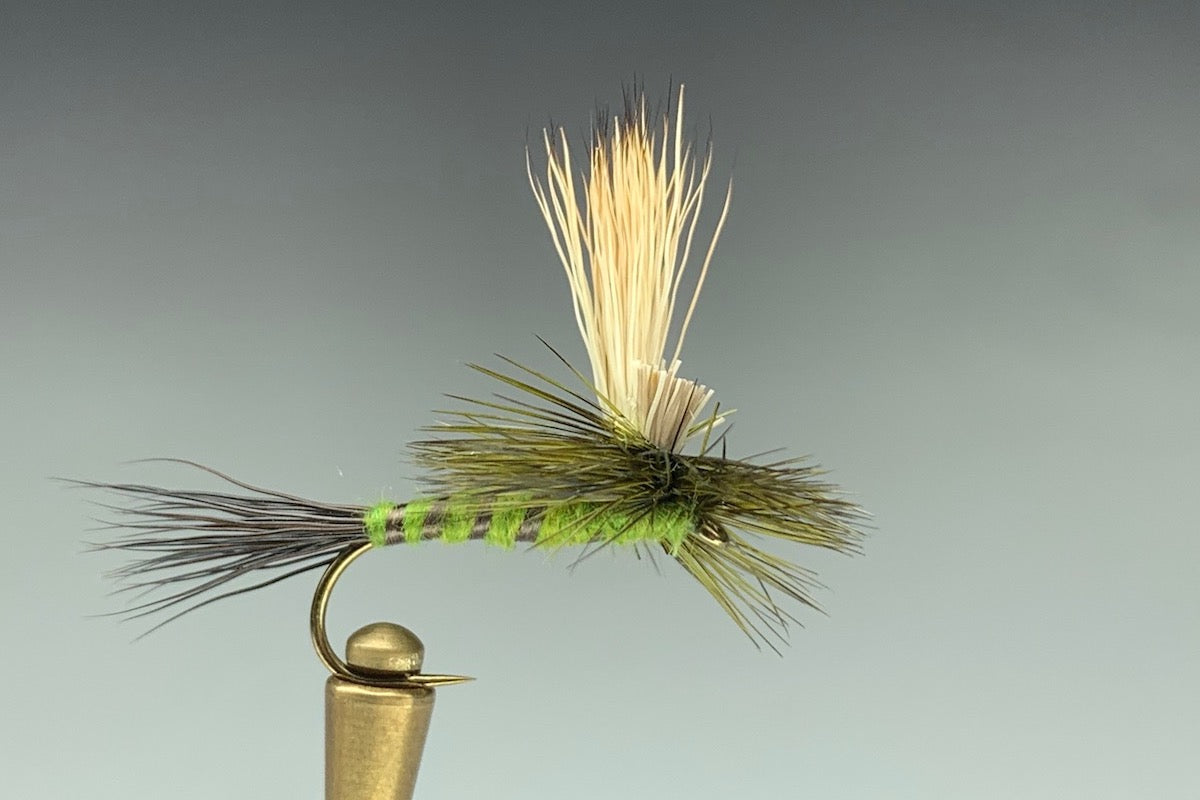 GUNNISON DRAKE (GREEN)