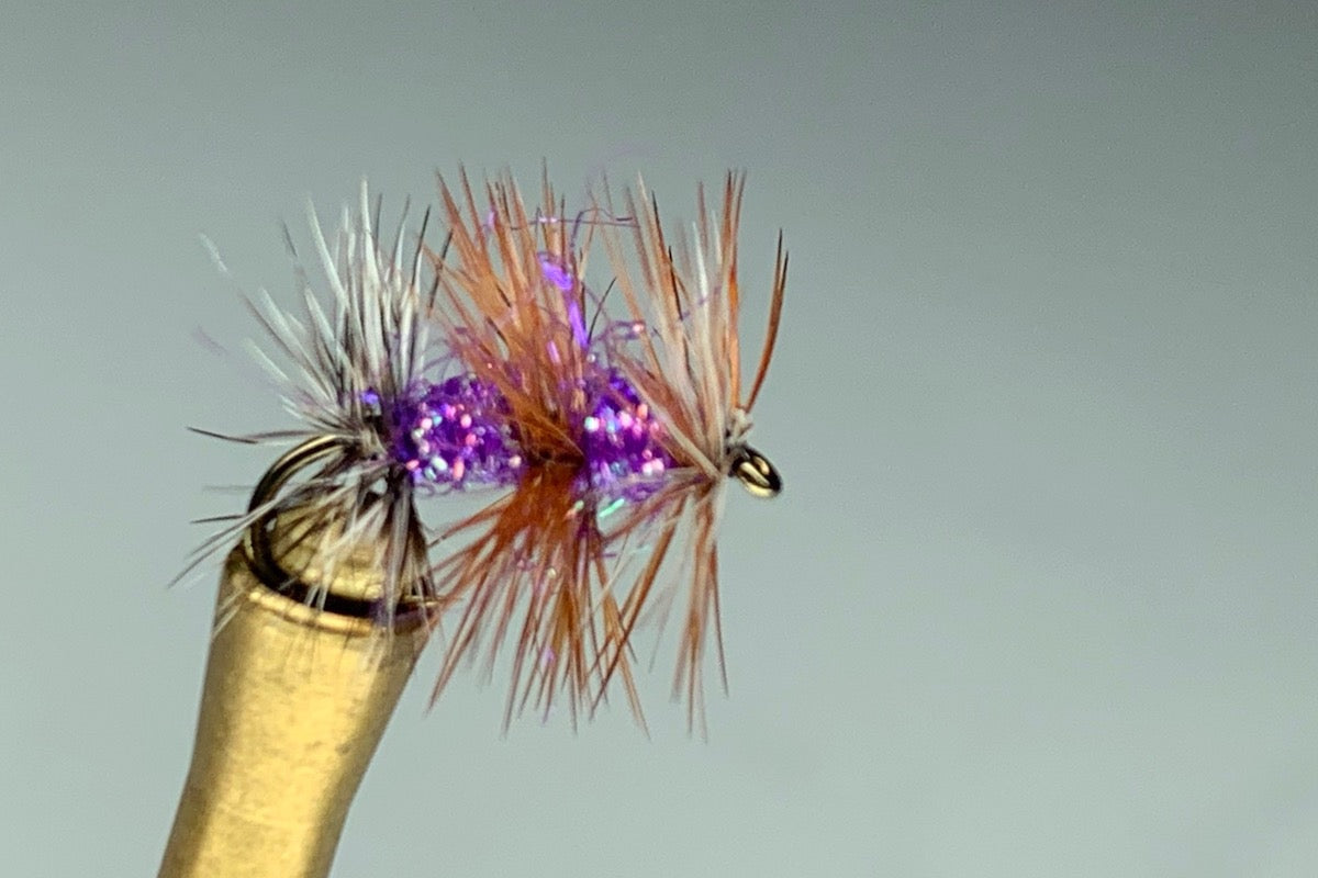 ICEY GNAT (PURPLE HAZE)