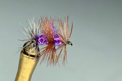 ICEY GNAT (PURPLE HAZE)
