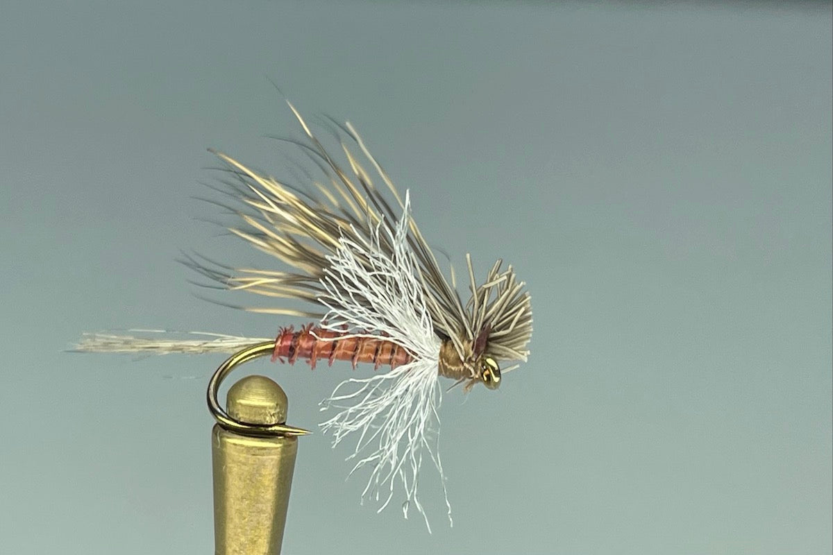 SPENT WING CADDIS (MAHOGANY)