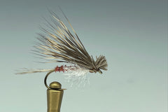 SPENT WING CADDIS (MAHOGANY)