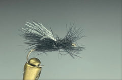 DUCK BACK ANT (BLACK)