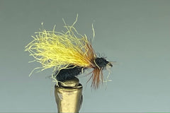 YELLOW BACK ANT (BLACK)