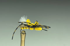 YELLOW ALBERTO GORDO (TAN)