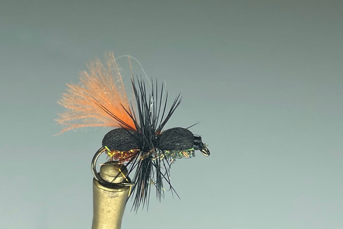 TUTU BEETLE