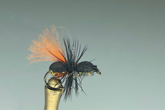 TUTU BEETLE