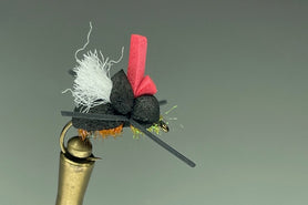 FAB 4 BEETLE (THE 5TH BEETLE)