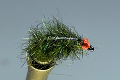 CARPET SOW BUG (OLIVE/GREEN)