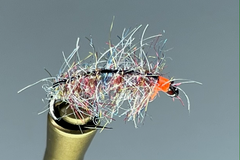 CARPET SOW BUG (RAINBOW)