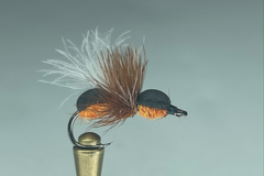 SUPERIOR ANT (CINAMMON)