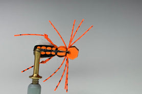 ORANGE ALBERTO GORDO (BLACK THREAD)
