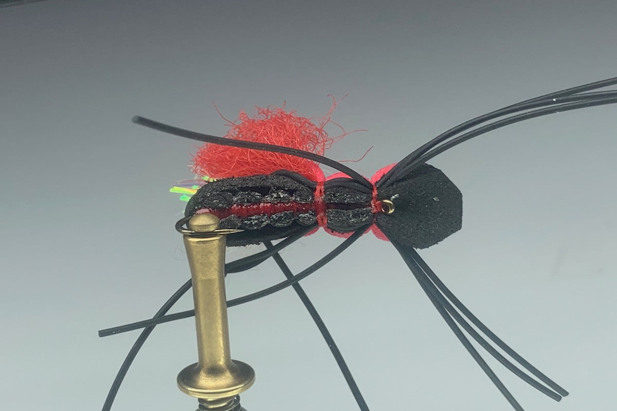 BLACK ALBERTO GORDO (RED THREAD)