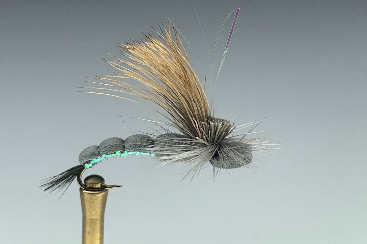 TURNING POINT DRAKE (GRAY)