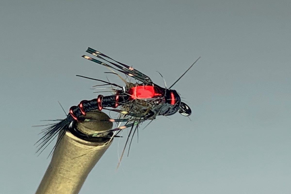 C/S ZEBRA NYMPH (RED STRIPED) *TUNGSTEN*
