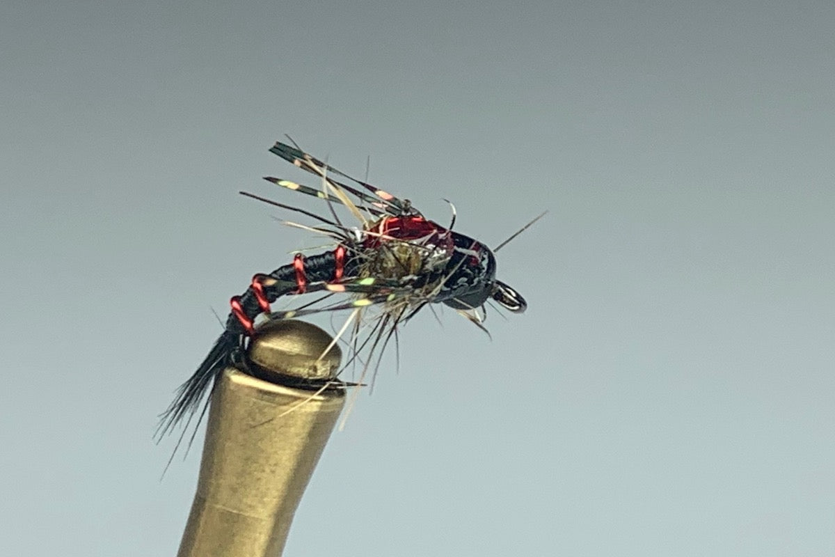 C/S ZEBRA NYMPH (RED STRIPED) *TUNGSTEN*