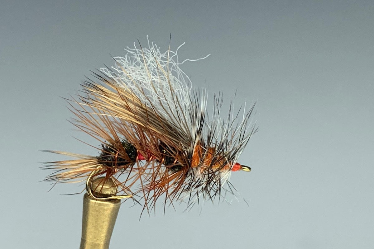 STIMULATOR (ROYAL)