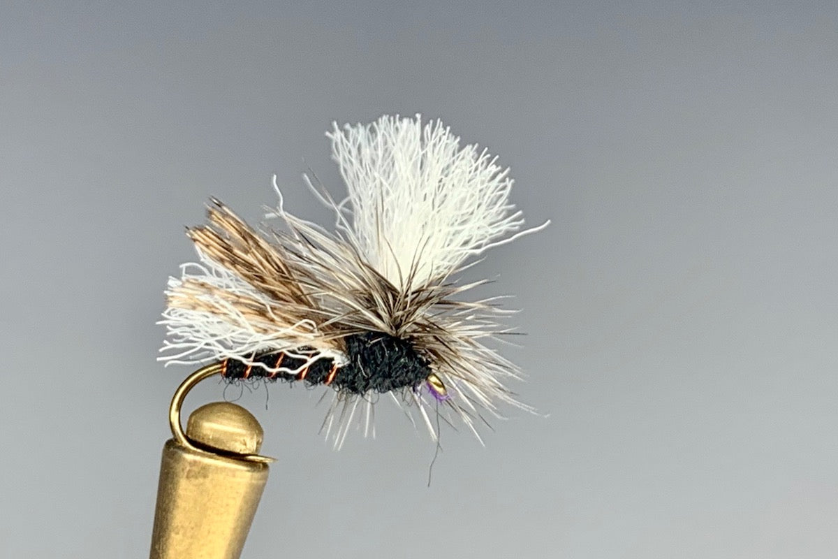 EZ CADDIS (BLACK)