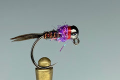 DARK HEAD FRENCHIE (ICE PURPLE COLLAR) *TUNGSTEN*