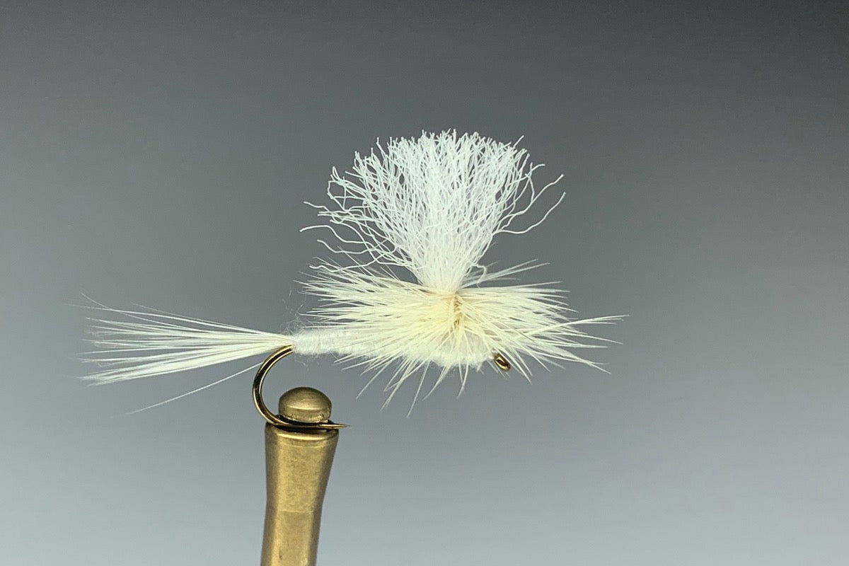 PARACHUTE (LIGHT CAHILL)