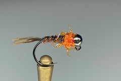 DARK HEAD FRENCHIE (ICE ORANGE COLLAR) *TUNGSTEN*