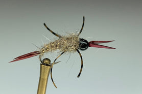 TOUCHSTONE NYMPH (HARE'S EAR) *TUNGSTEN*