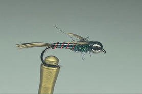 MAHALO NYMPH