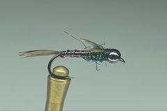 MAHALO NYMPH