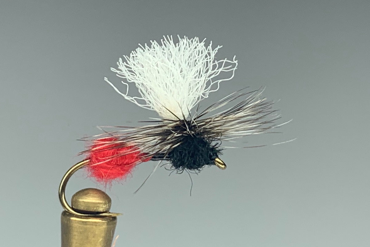 PARACHUTE ANT (RED BUTT)