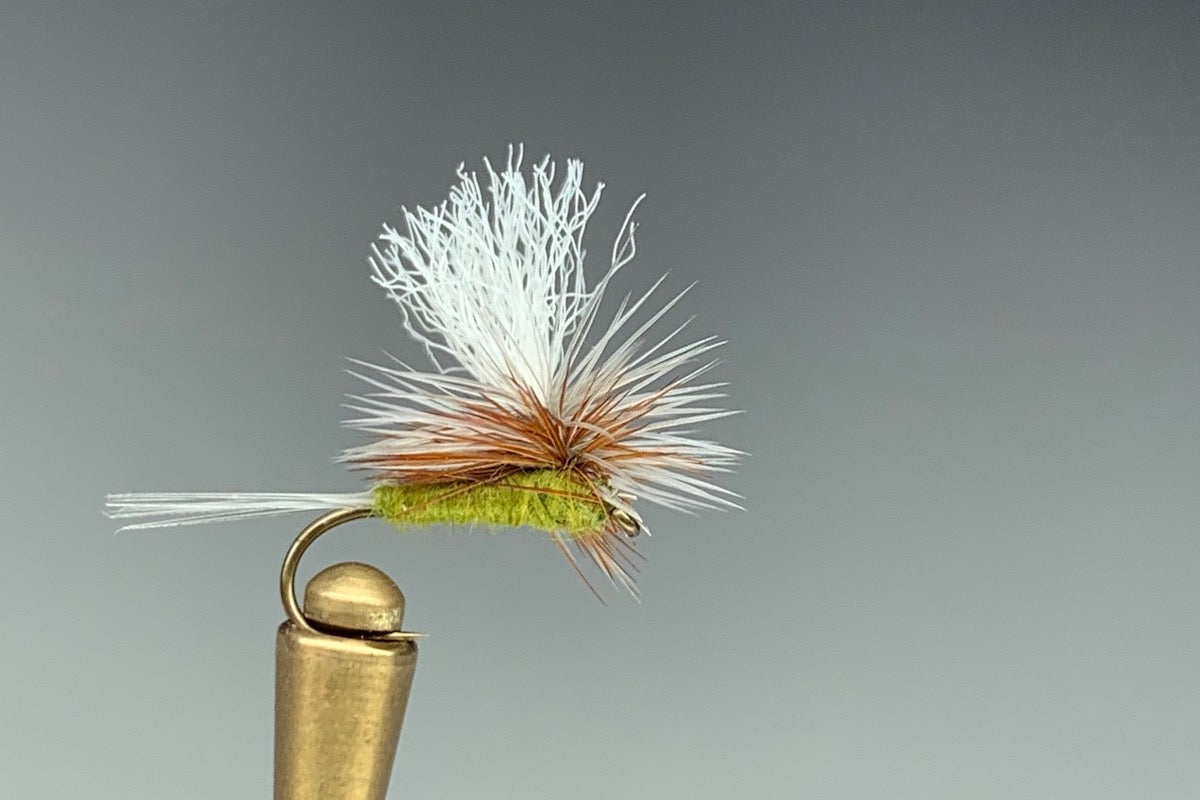PARACHUTE OLIVE