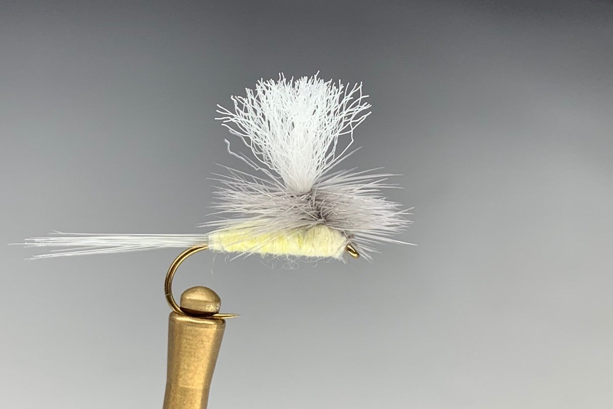 PARACHUTE (PMD)