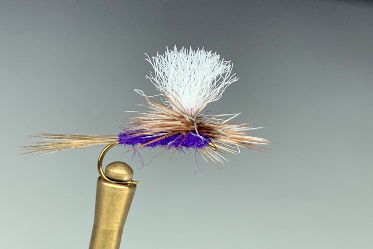 PARACHUTE (PURPLE HAZE)