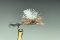 CRYSTAL WULFF (GRAY DRAKE)
