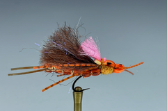 SEAMTRESS STONEFLY (SALMONFLY)
