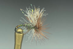 SEAM SUCKER CADDIS (BROWN)