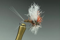SPINNAKER (RUSTY)