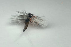 SPINNAKER (RUSTY)