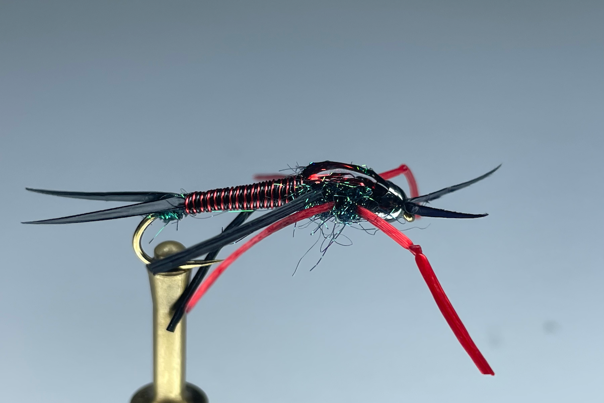 PTEROFIER (RED/BLACK)