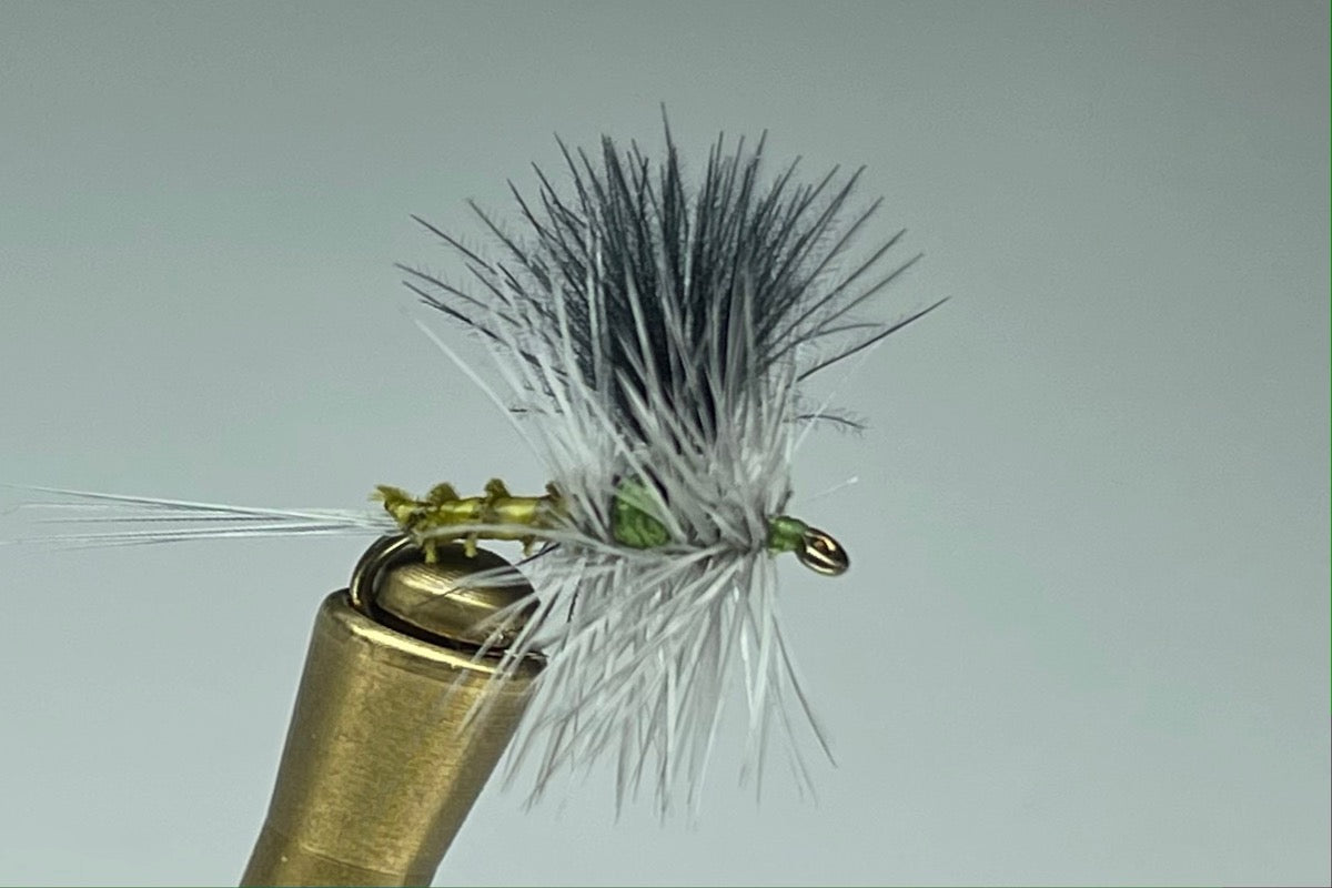 THORAX DUN (BWO)