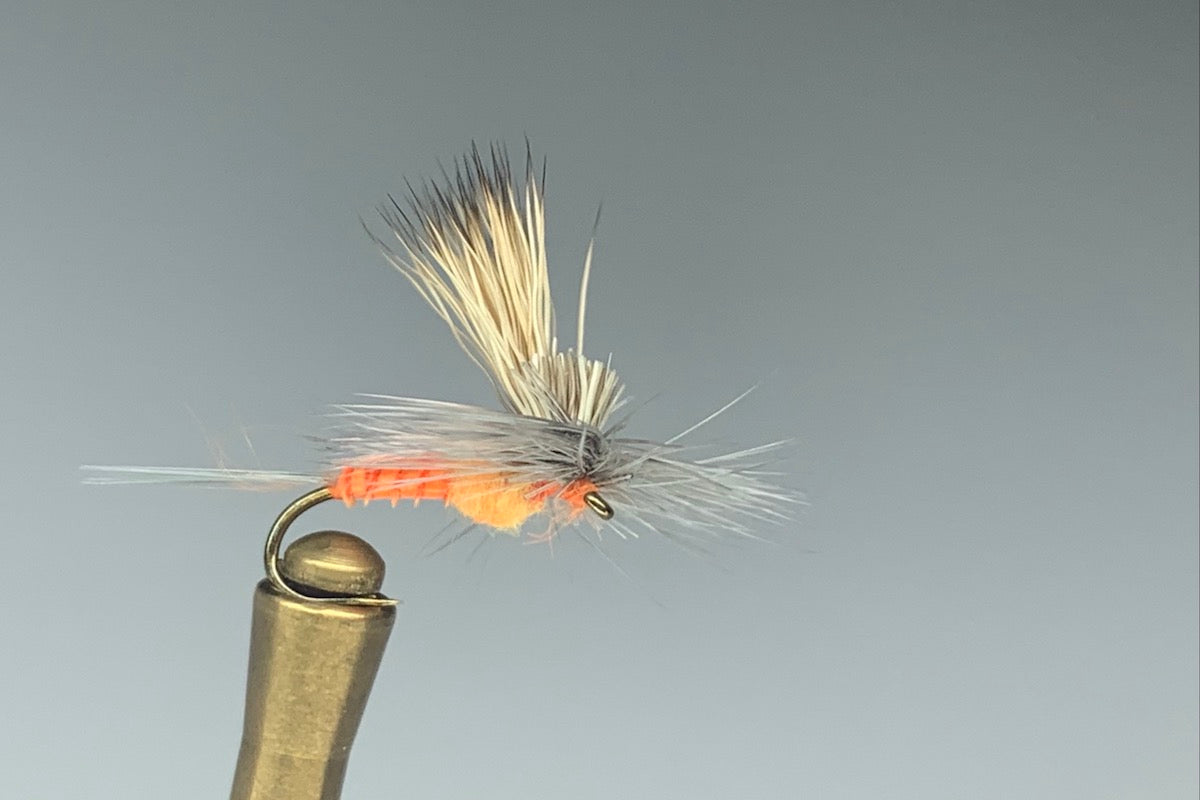 Tilt Wing Dun (Sulphur Orange)
