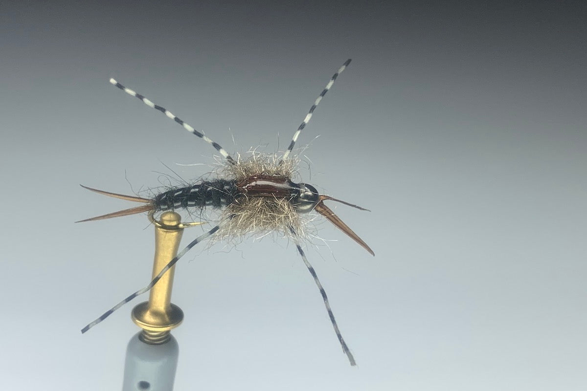 TOUCHSTONE NYMPH (BLACK) *TUNGSTEN*