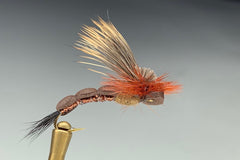TURNING POINT DRAKE (BROWN)
