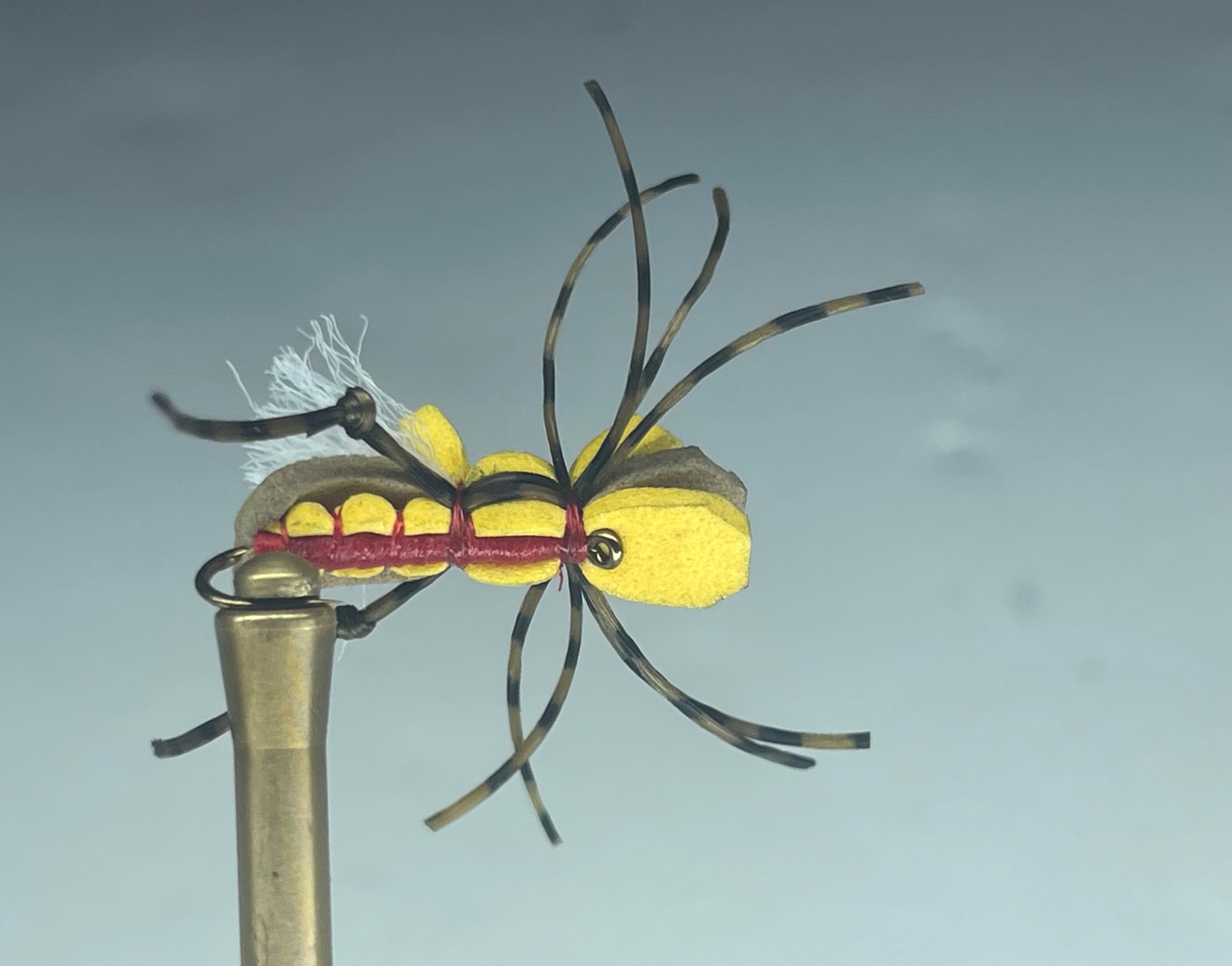 YELLOW ALBERTO GORDO (RED THREAD)