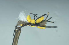 YELLOW ALBERTO GORDO (RED THREAD)