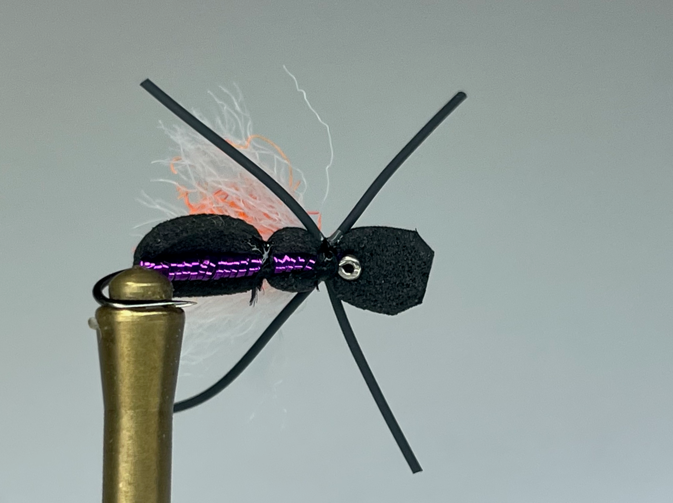 CHEETO BEETLE (PURPLE)