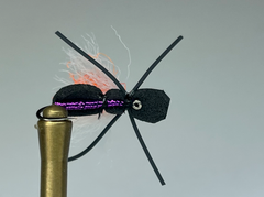 CHEETO BEETLE (PURPLE)